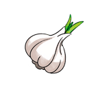 small-garlic-graphics
